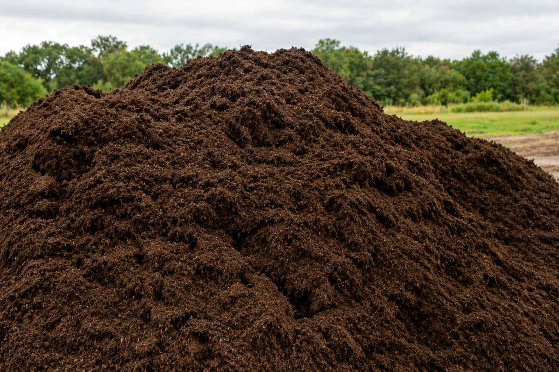 Торф верховой для грядок и газонов